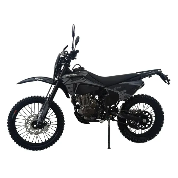 Купить мотоцикл RegulMoto ZZ 300 с бесплатной доставкой без переплат + ПТС и рассрочка