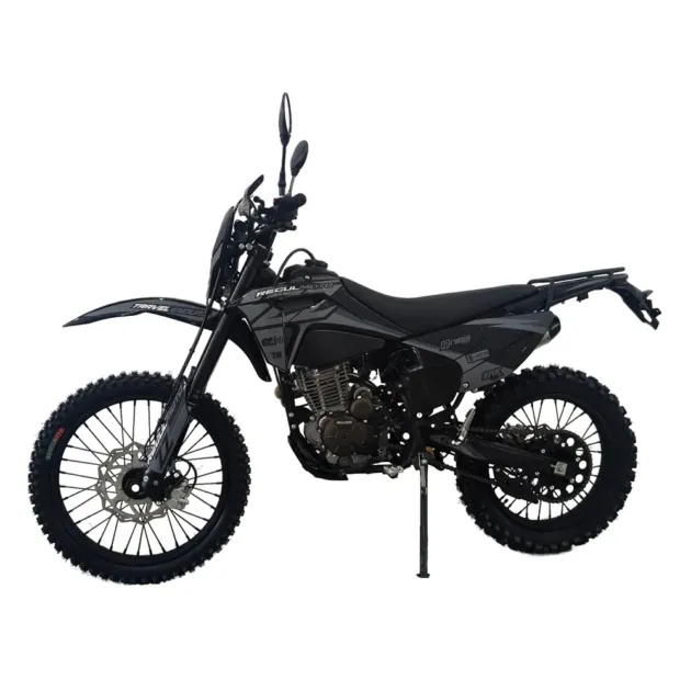Купить мотоцикл RegulMoto ZZ 300 с бесплатной доставкой без переплат + ПТС и рассрочка