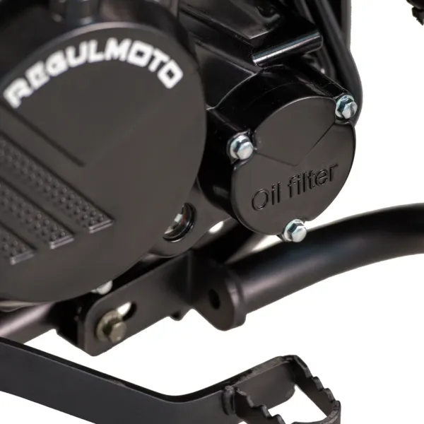 Купить мотоцикл RegulMoto XADV с бесплатной доставкой без переплат + ПТС и рассрочка Купить мотоцикл RegulMoto XADV с бесплатной доставкой без переплат + ПТС и рассрочка