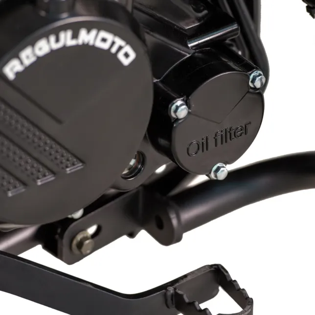 Купить мотоцикл RegulMoto XADV с бесплатной доставкой без переплат + ПТС и рассрочка Купить мотоцикл RegulMoto XADV с бесплатной доставкой без переплат + ПТС и рассрочка