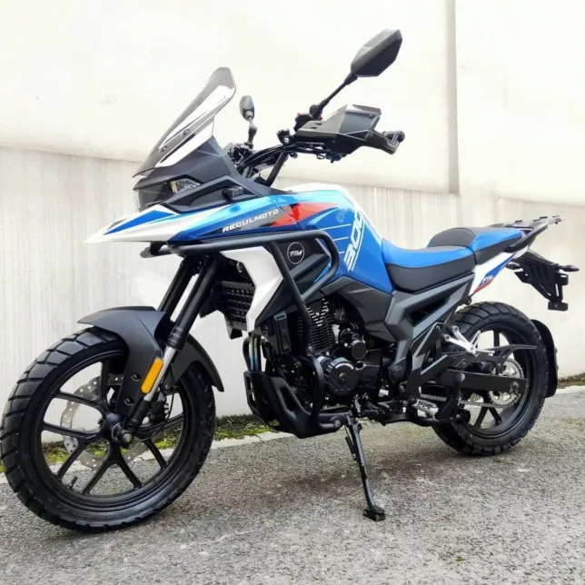 Купить мотоцикл RegulMoto GTO 300 без наценки у поставщика. Бесплатная доставка, сборка, гарантия, рассрочка и кредит.