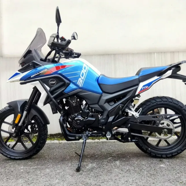 Купить мотоцикл RegulMoto GTO 300 без наценки у поставщика. Бесплатная доставка, сборка, гарантия, рассрочка и кредит.