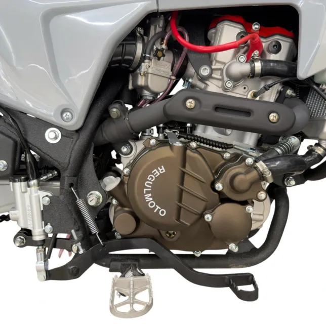 Купить мотоцикл RegulMoto TE PRO NB300 с бесплатной доставкой без переплат + ПТС и рассрочка