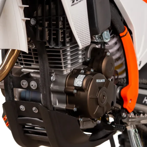 Купить Regulmoto Holeshot 300 PRO с бесплатной доставкой без переплат + ПТС и рассрочка Купить Regulmoto Holeshot 300 PRO с бесплатной доставкой без переплат + ПТС и рассрочка
