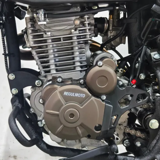 Купить мотоцикл RegulMoto ZZ 300 с бесплатной доставкой без переплат + ПТС и рассрочка